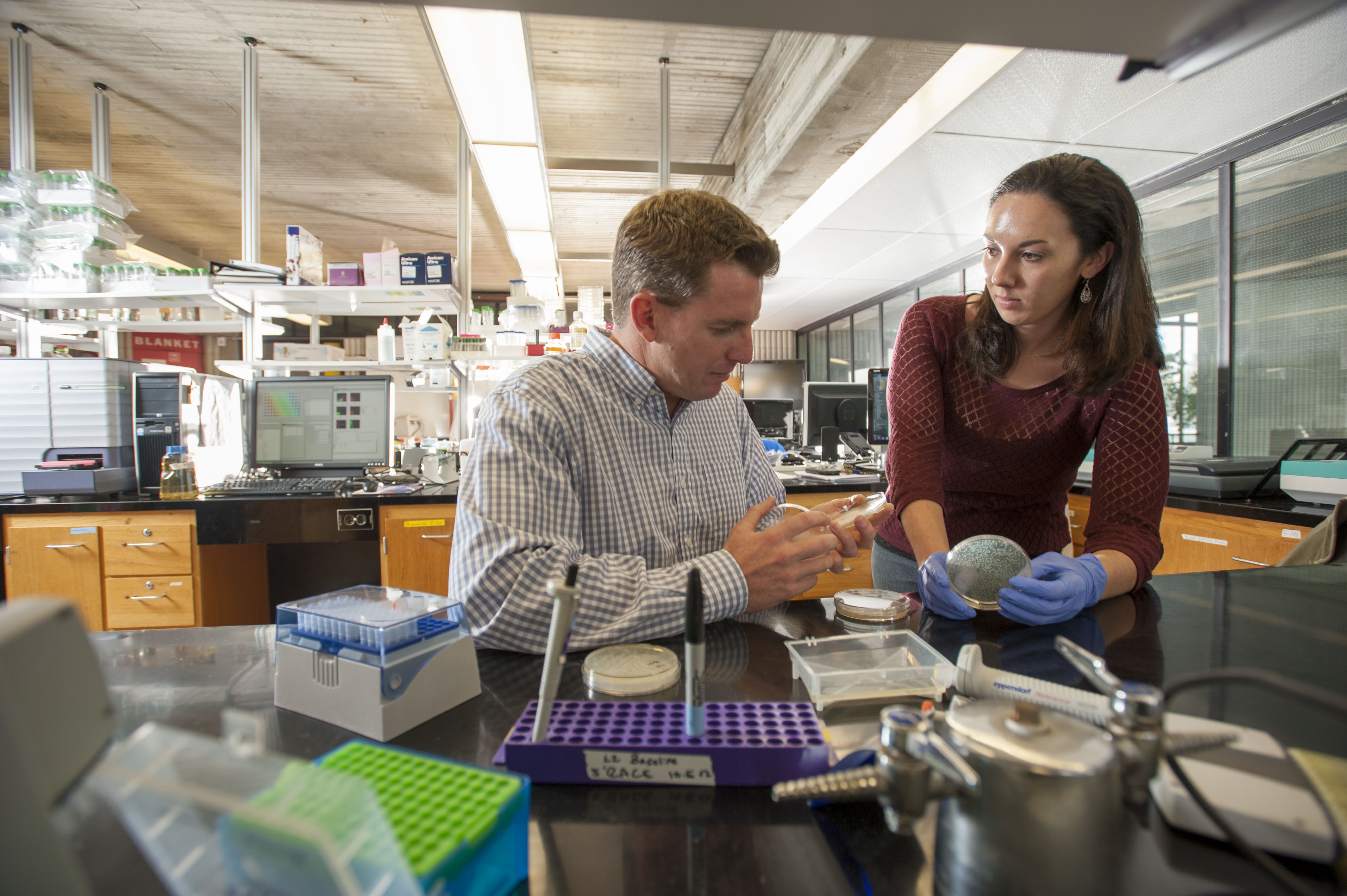 Two researchers in a lab