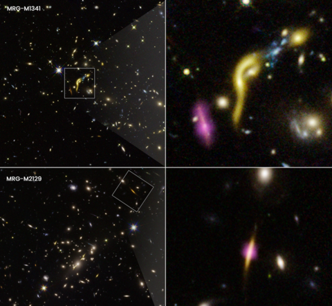 Composites from NASA's Hubble Space Telescope and ALMA showing closeups of two galaxies, MRG-M1341 and MRG-M2129, 10 – 12 billion light years away. Credit: Whitaker at al., 10.1038/s41586-021-03806-7, Joseph DePasquale 