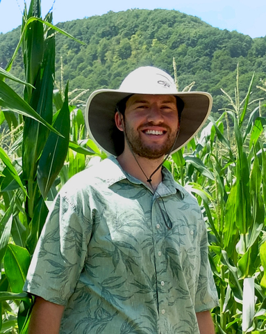 Harry Klein in the maize field. Credit: UMass Amherst