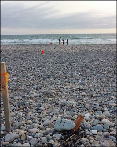 Woodruff's team making a transect of a rocky New England Beach. Image courtesy Jon Woodruff