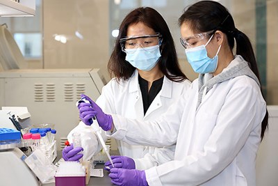 Civil and Environmental Engineering Asst. Prof. Sheree Pagsuyoin, left, works with Ph.D. student Akarapan Rojjanapinun in the lab at Perry Hall on North Campus.