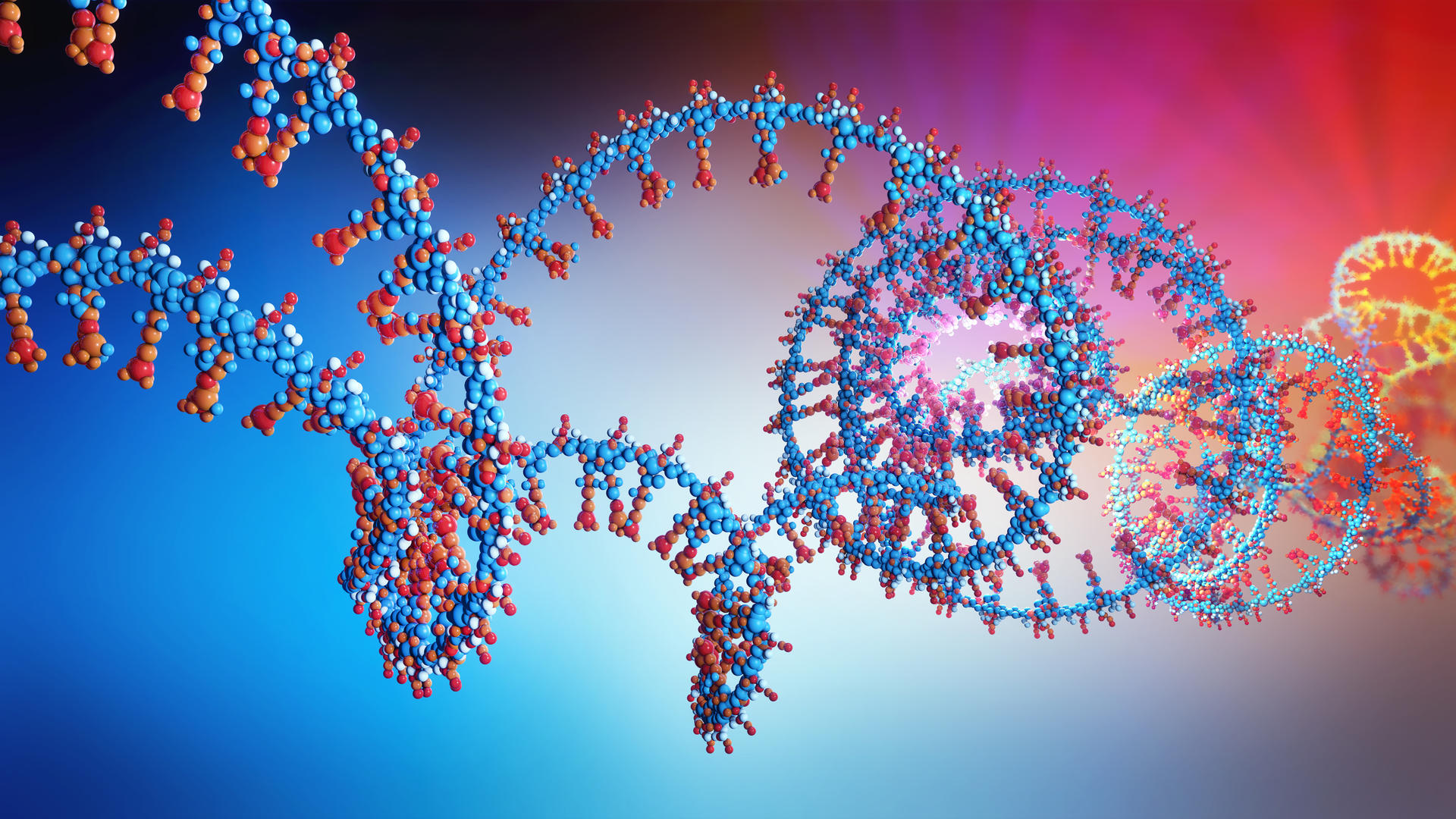 3d illustration of an RNA chain. Credit: Christopher Burgstedt/Getty Images