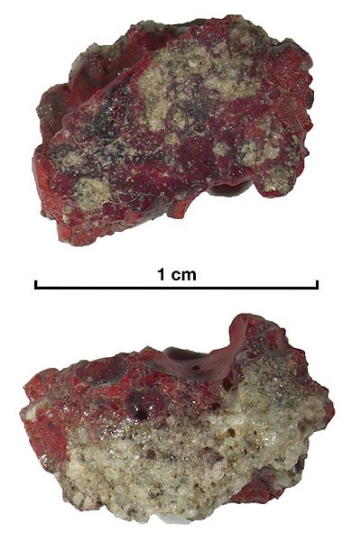 This close-up view taken by Prof. Luca Bindi of the University of Florence, Italy, shows the red trinitite containing the newly discovered quasicrystal. The sample was recovered by a meteorite researcher north of the Trinity test site, a few months after the blast.