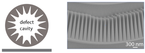 Figure at left illustrates the defect area of photonic crystal bumps introduced into the lower middle area of the microring structure. Image at right shows what the defect looks like in practice. (Image: NIST/Lu)