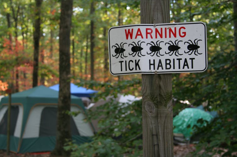 "Warning Tick Habitat" sign hangs on a tree post