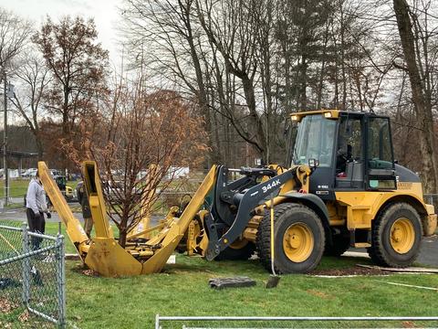 Physical plant planted a variety of trees near the childcare center on campus. 