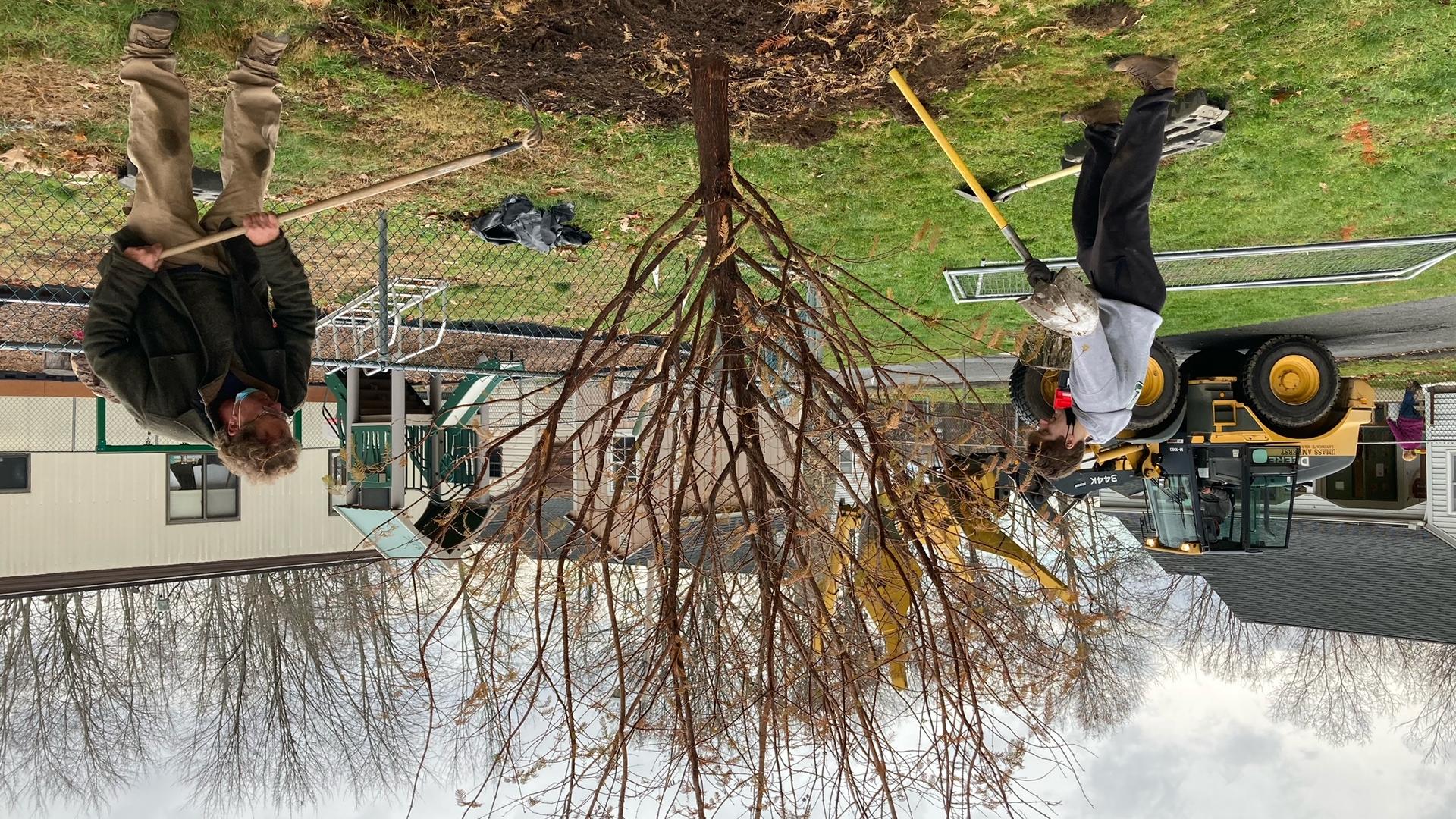 Physical Plant employees work on planting a tree on UMass Amherst campus