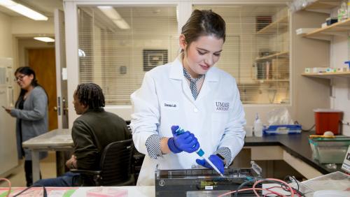 UMass students in a research setting