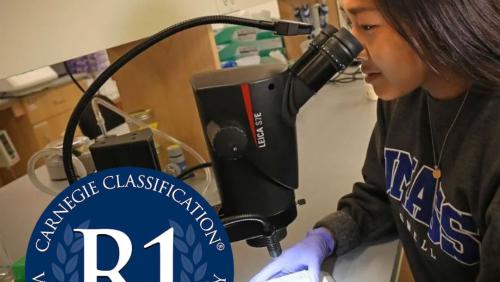 UMass Lowell research student in the lab looking through a microscope.